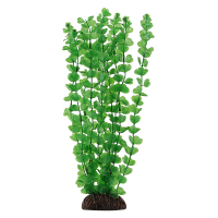 Растение "Бакопа" зеленая, 400мм