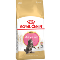 Royal Canin Kitten Main Coon Мейн Кун, с курицей