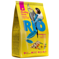 Rio для средних попугаев во время линьки