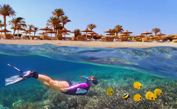 Специальные предложения от Anex и Rixos в Египте