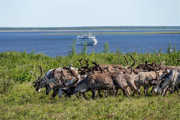 В арктический круиз надо взять купальник. Как собраться в северное путешествие – советы экспертов