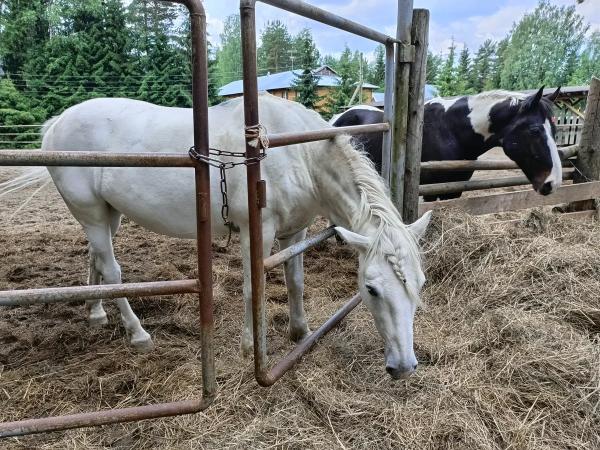 Мандроги в цифрах и фактах: кто сюда приезжает и где живет