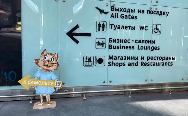Что сейчас происходит в крупнейших российских аэропортах