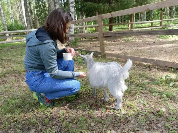 Мандроги в цифрах и фактах: кто сюда приезжает и где живет